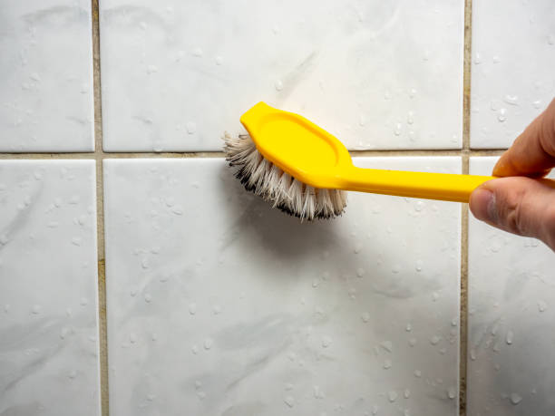 Best Home Mold Removal  in Johnston, SC