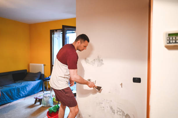 Best Emergency Mold Removal  in Johnston, SC