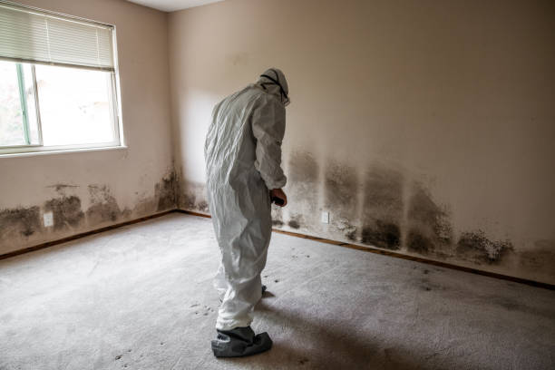 Best Mold Testing  in Johnston, SC