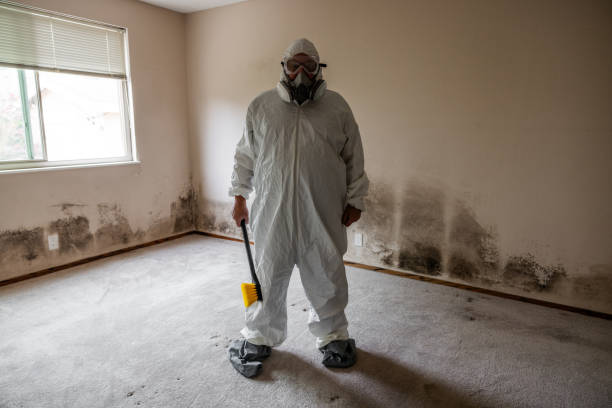 Best Mold Removal Process  in Johnston, SC